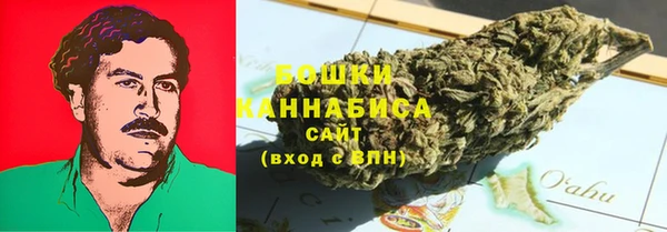 гидропоника Гусиноозёрск
