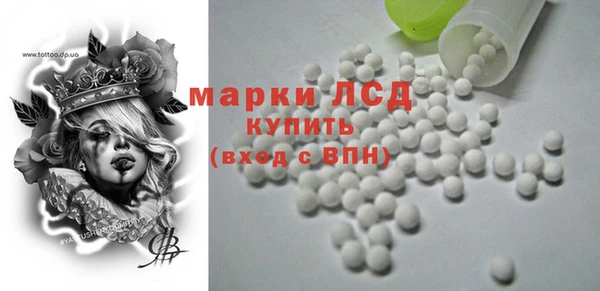 гидропоника Гусиноозёрск