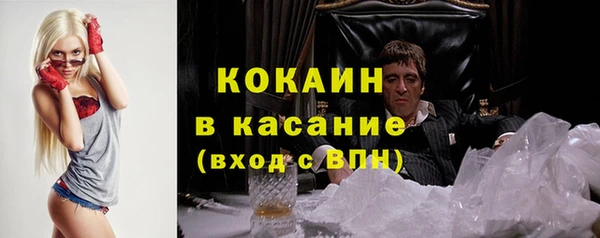 амф Дмитриев