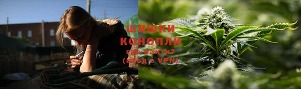 гидропоника Гусиноозёрск