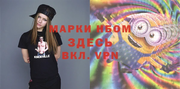 гидропоника Гусиноозёрск
