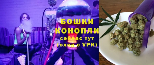 ешки Гусев
