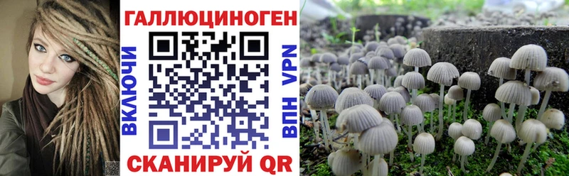 Псилоцибиновые грибы Magic Shrooms  Рубцовск 