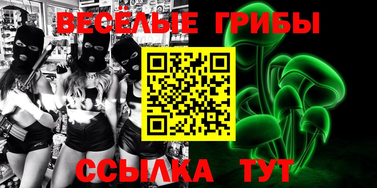 купить  сайты  Вход с VPN  Рубцовск  Псилоцибиновые грибы Psilocybe 