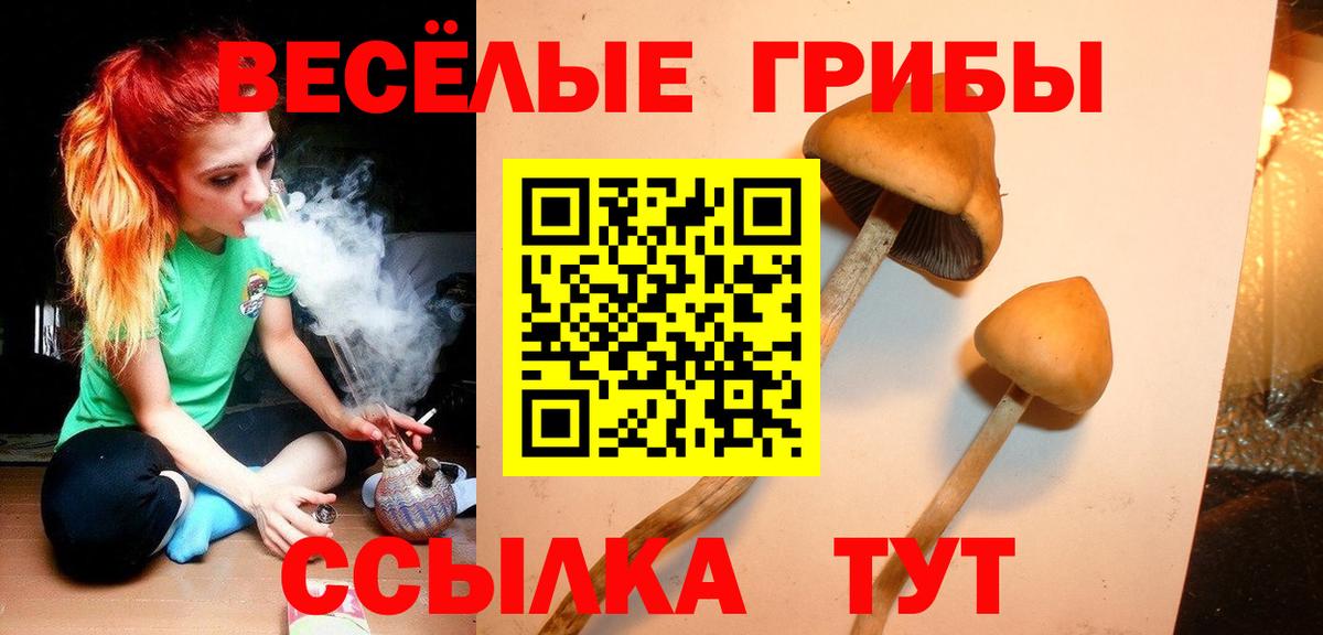 Мефедрон   Рубцовск  ГАШ  Где продают наркотики?  Меф  Кокаин  Вход с VPN  Марихуана 